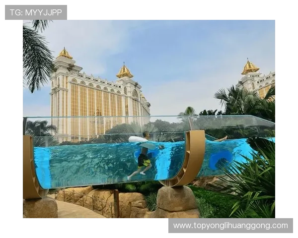 永利皇宫官网娱乐新手攻略指南，快速上手体验高品质线上娱乐乐趣