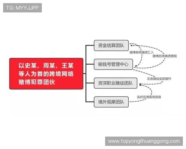 永利皇宫豪赌事件中的法律责任与监管漏洞深度剖析
