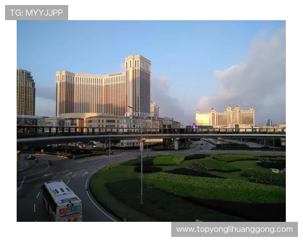 澳门各大赌场排名榜最新2024年度全面解析，带你了解最受欢迎的赌场排名情况