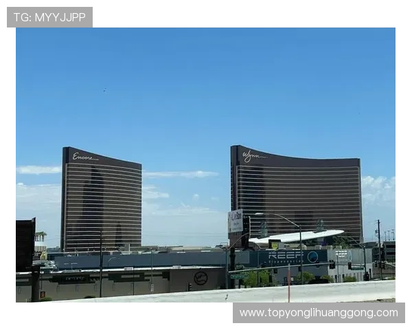 关于wynn永利的全面介绍与最新优惠活动详解助你轻松了解wynn永利的特色与优势