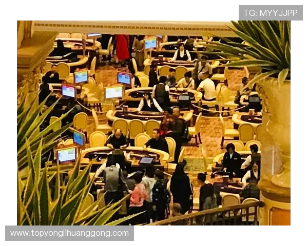 如何到达澳门金碧汇彩，详细地址、交通路线及周边景点推荐全方位解析