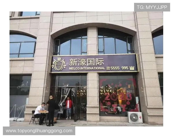 新濠国际发展有限公司在行业中的竞争优势与未来发展潜力展望 新濠国际发展有限公司在行业中的竞争优势与未来发展潜力展望