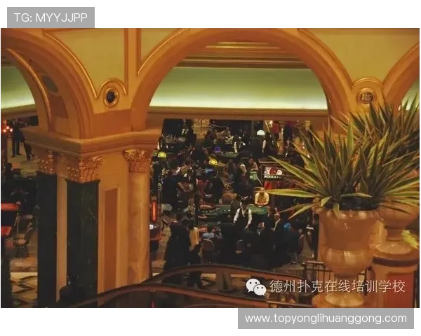 永利澳门有限公司官方最新公告全面解析助你了解企业最新动态与发展方向