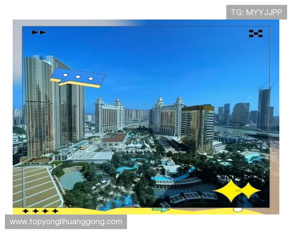 澳门永利皇宫真人版玩家评价与真实体验分享帮助新手快速上手赢取胜利