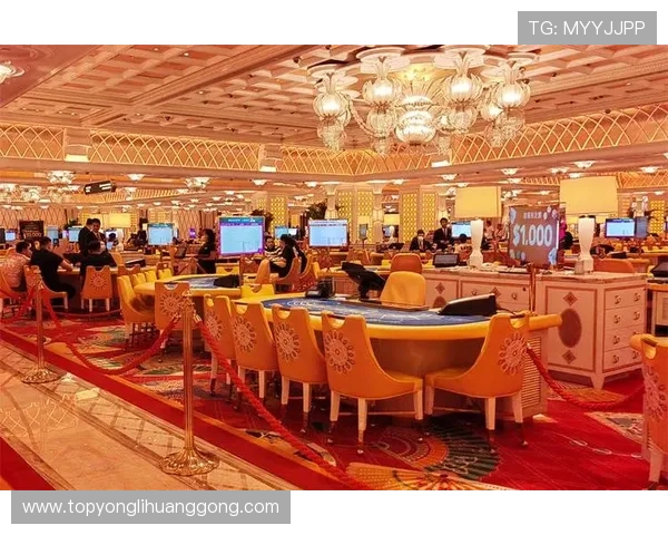 澳门永利皇宫赌场贵宾厅的安全保障措施与隐私保护政策详解